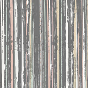 FÄRGGLADA RANDOR, SAMMETS KÖKSLÖPARE