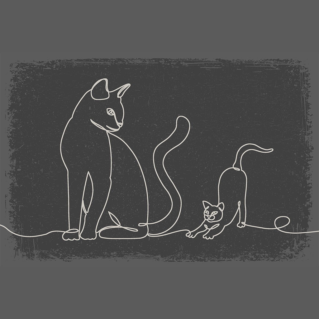 MINIMALISTISK KATTER, DÖRRMATTA MED KANT FÖR TERRASSER