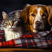 MYSIG KATT &amp; HUND, DÖRRMATTA TILL TERRASSAN MED KANT