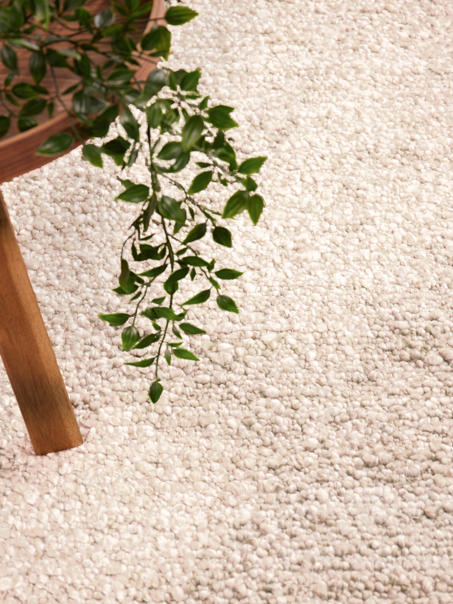 TED BAKER NOTTING HILL MJUK BOUCLE KORT LAGGIGT MATTA, PORTOBELLO CRÈME-BEIGE