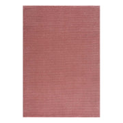 DAISY MATTA, 900 ROSA 